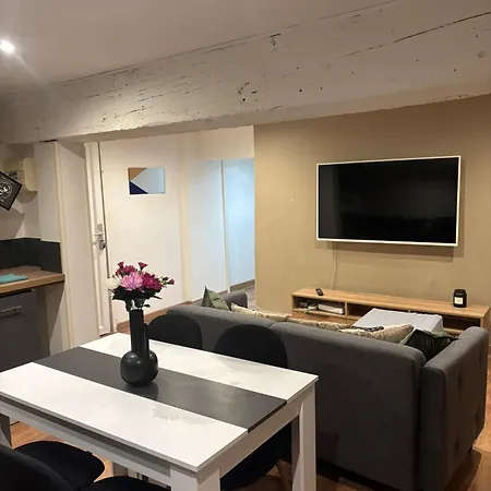 Aparthotel Thenest Vienne (Isere)