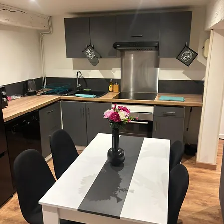 Lejlighedshotel Thenest Vienne (Isere)